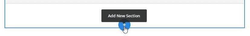 Add section by pressing the blue plus icon