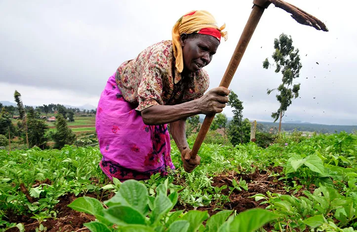 Akua Donkor advancing agriculture in Ghana