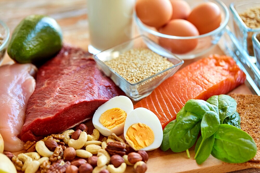 protein diet
