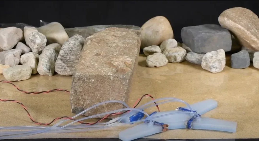 Discover the soft robots that can cut off limbs and merge with other robots.