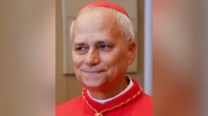 Pope Leo XIV: All you need to know about the first American Pontiff | Pulse Ghana
