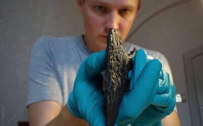 Viking Scholars Recognize Female Slavic Warrior Found Buried in Danish Cemetery
Mira FrickeA piece of the ancient remains of a likely-Slavic warrior woman recently found on the Danish island of…