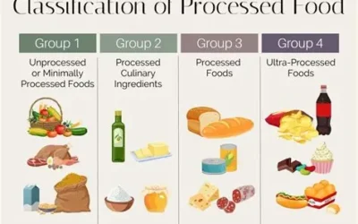 Good vrs Bad Ultra-Processed Foods: How to Tell Them Apart