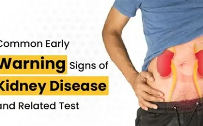 What Are the Warning Signs of Kidney Disease? 10 Symptoms to Know
